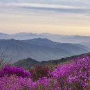 노고단-5 이미지