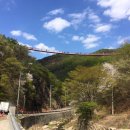 거목 통나무집 이미지