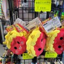 꽃가마화장품 | 벳부 자유여행 필수코스 지옥온천 구경하기-바다지옥, 가마도 지옥