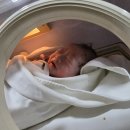 더서울병원 | 임신 38주 5일 초산 유도분만 제왕절개 부천서울여성병원 출산후기 아기 안내려옴 장두형아기