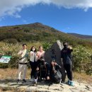 초3-4 독서,하다 1기 | 독서·운동·자기계발·힐링까지 한 번에! 광주독서모임 논스탑 6기 3~5회차 후기