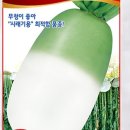 흥농농약종묘사 이미지
