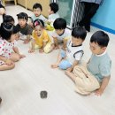 🐸 5월 동물체험~아프리카 황소개구리 이미지