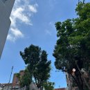 서미모밀촌 이미지