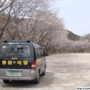 개나리꽃민박 이미지