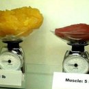 PT전문 레몬 이미지