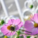 숲사랑유치원 이미지