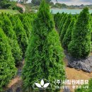 (주)그린서림 이미지