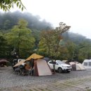 뮤직캠프(MUSIC CAMP) 이미지