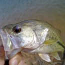 광산구-161 이미지