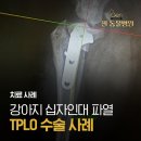 젠동물병원