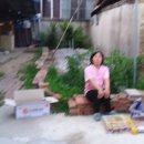 대학세탁소 이미지