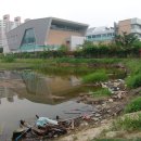 아산초등학교 이미지