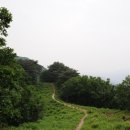 광덕3로4 이미지