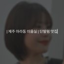 엘시크 이미지