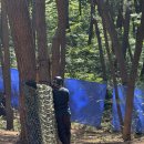 우리종합기술 - 서초구 동산로 28 | 대부도 가볼만한 곳 대부도 서바이벌 우리종합기술 후기