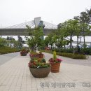 경인아라뱃길 시천교 이미지