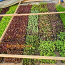 동신농장 이미지