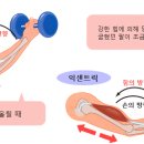 정헬스 이미지