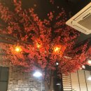 카페보스구미진평점 네이버블로그