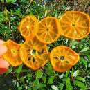 한농상회 이미지