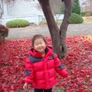 킨더하바어린이집 이미지