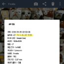 우리동네큰닭 네이버블로그