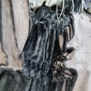 대동현대세탁소 | 밍크전문점 모피 좋은제품 싸게 구매한 후기