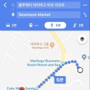 비고리조트 2 이미지