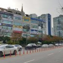 야채왕과일왕