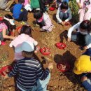 건강마을체험장 이미지