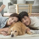 반려견과 더불어 사는 법 이미지