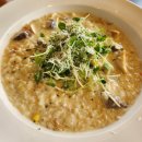 씨유 판교도서관점 | [인천 영종도] 네스트호텔 - 스탠다드룸 오션뷰 추천 후기