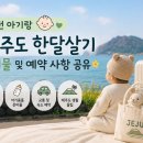 아이닉카 | [제주 한달살기3] 돌전 아기랑 제주 한달살기 준비물 및 예약 상황 공유