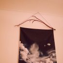 보람마트먹골점 | 주부일상 / 마늘다지기 / 패브릭포스터 / 감자 / 사구팬 / 집안일 / 감자갈변방지방법