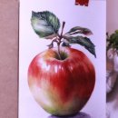 취미로 배우는 아크릴화 이미지