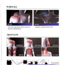 맥스톰 | 자기장치료기