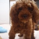 청학동주차장2 이미지