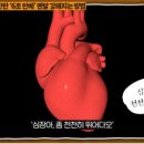 (주) 다미 이미지