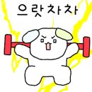 태권도상무체육관 이미지