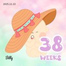 윤슬약국 | 임산부 주수별 할 일/ 임산부 타임라인 정리: 임신초기편(임신~14주)🤰💖[임신초기 해야하는것]