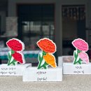 백향기스토리