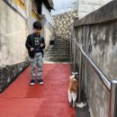 공주무릉농원
