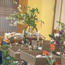 충청북도농업과학관 | 충북농업과학관 준공식 | 행사 다과 케이터링 후기