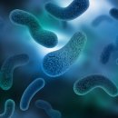 온천목욕탕 이미지