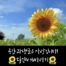 나유치과의원 이미지