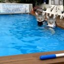 용인프로방스펜션2 이미지