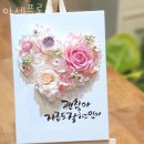 아세플로라 이미지