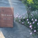 청수리오즈네 이미지