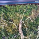 학선농장 이미지